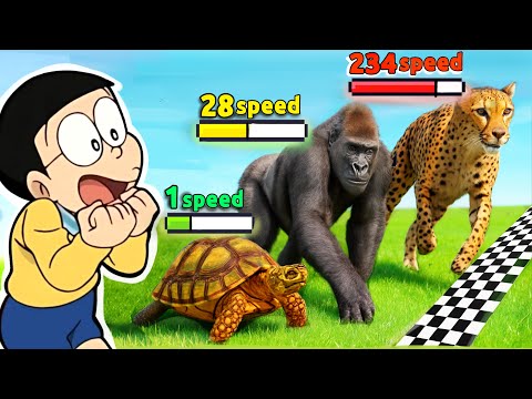 Fastest Animal Speed Comparison !!