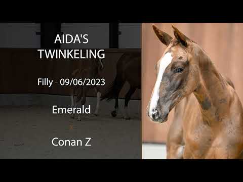 Aida's Twinkeling (Emerald x Conan Z)