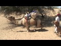 Rajasthan Camel Safari Part1, Episode 58 