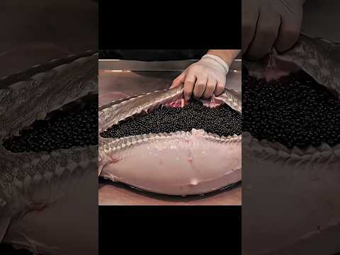 உலகிலேயே ₹12 லட்சம் மதிப்புள்ள மீன் முட்டை! 😱 | Caviar Explained in Tamil #shorts #facts
