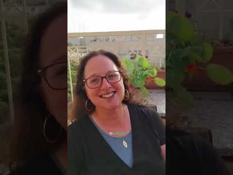 טובי גולד – המלצה על התכנית