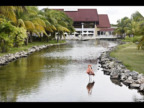 Memories Caribe Cayo Coco November 2025 Day 6