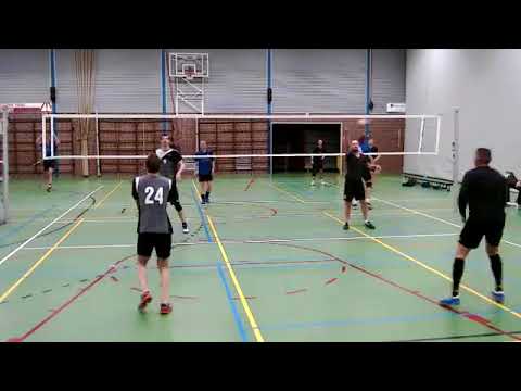 Mytilus HS1 - Avc'87 HS1