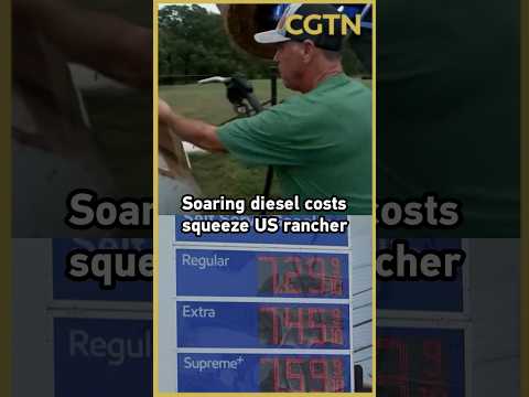 Soaring diesel costs squeeze US rancher