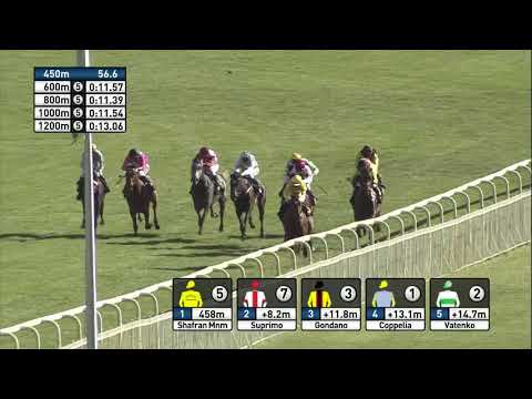 Shafran MNM Berlin-Hoppergarten 1400M 12.05.2019