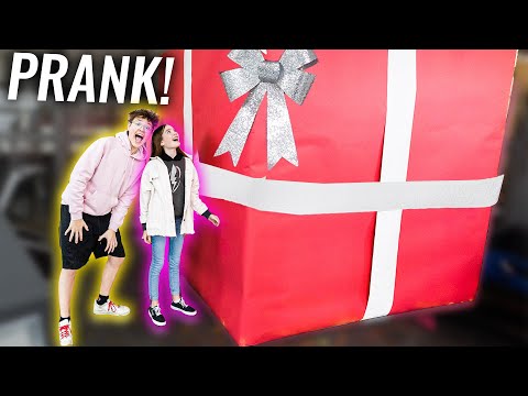 Das GRÖßTE GESCHENK der WELT für kleine SCHWESTER gekauft!