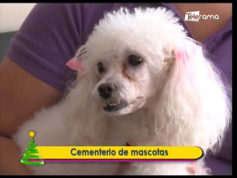 Cementerio de mascotas