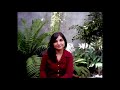 Sarah Davachi - Evensong
