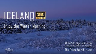 Iceland - Enjoy the Winter Morning │ Part 202