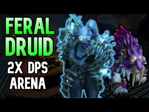 DOUBLE DPS IS BACK - Feral Druid PvP BFA 8.3
