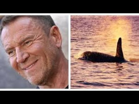 Deep Blue Sea Director Renny Harlin set to direct Orca Thriller Black Tides!