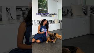 Why Rescue Dogs Mean So Much To Chandler Kinney | The Dodo