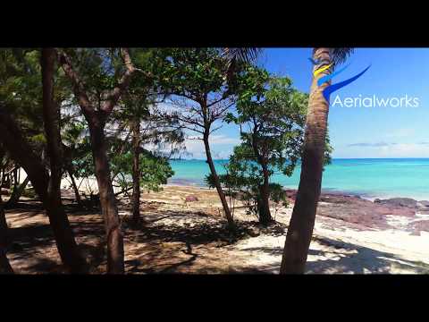 Flying Through Beautiful Palm Trees in the Fiji Islands - in 4K Ultra High Definition