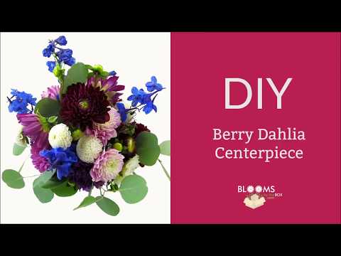 How to Make a  Dahlia Centerpiece