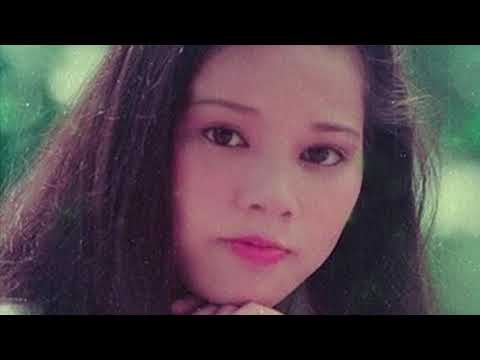 Tình trong như đã - Như Quỳnh