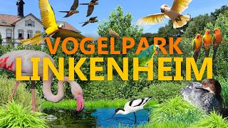 Von der Müllkippe zum Vogelparadies? | Vogelpark Linkenheim