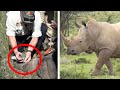 Radioactive Rhino Horns Are Latest Tool To Stop Poachers