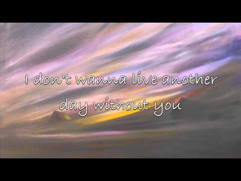 Wake Me Up - Hawk in Paris