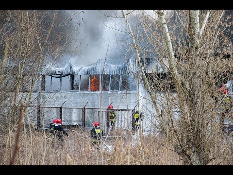 Pożar hali magazynowej z oponami we Wrocławiu, 26.03.2018