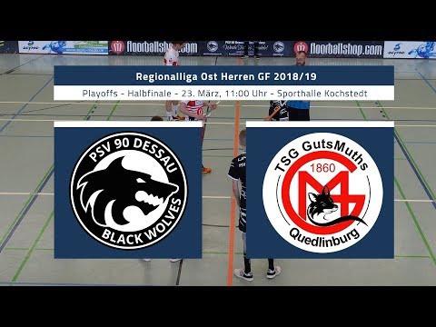 Regionalliga Ost Herren GF 18/19 | Playoffs - Halbfinale - PSV 90 Dessau - TSG Füchse I