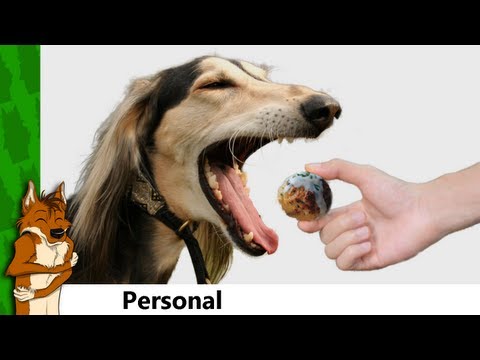 Wolves & Dogs (Fireflies Parody)