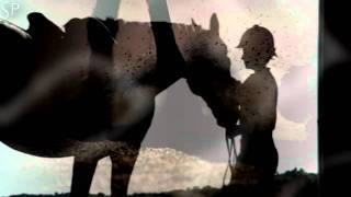 Horse & Rider: Wish You Were Here