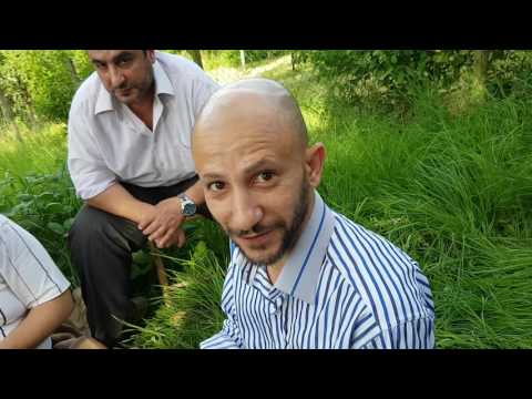 Arabisch Leute von homs in Deutschland