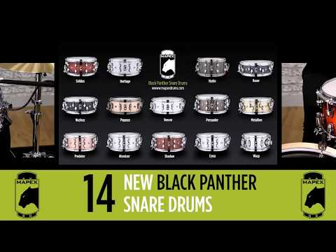 Black Panther 2020 Lineup - Quick Guide to all 14 models