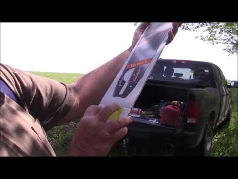 Stihl 3002 Bars For  Holzfforma g888, A Snap Shot Cut From "Holzfforma g888 vs. Dead Wood" Video