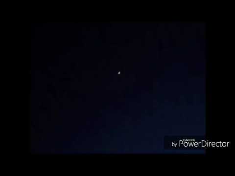 The Bear King Part 1: "The Circle of Life"