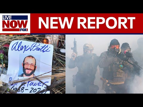 Alex Pretti shooting: 2 federal officers fired shots in Minneapolis, DHS report says