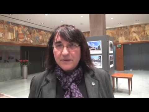 Mnenja o  volilnih sistemih - YouTube