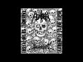 Hoarder Brainstem Split 2020 Grindcore Deathgrind