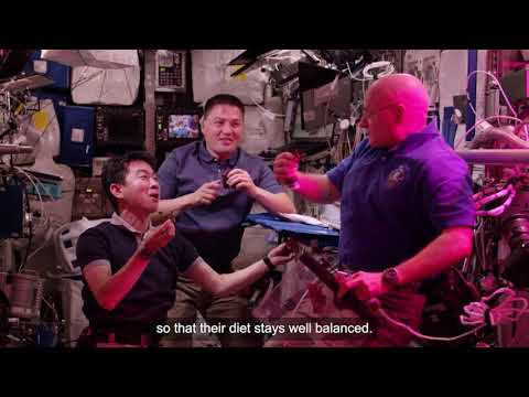 欧州宇宙機関(ESA)で宇宙飛行士になる方法。