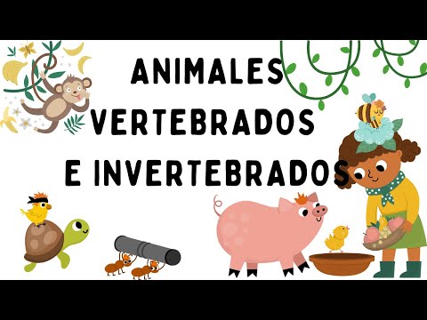 Animales vertebrados e invertebrados - EducaMundo