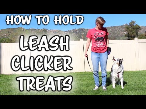 What is Clicker Training