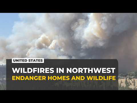 Wildfires in US Northwest threaten homes and wildlife alike
