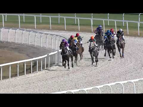 2019.10.20. 02. futam - TATA - REMETESÉGI HENDIKEP (IV.o.) (szintetikus pálya)