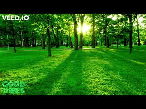 Karl Sierra - Vibe All Night (Soledrifter Remix)