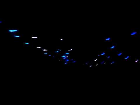 Grum @ Newspeak - Yves DeRuyter - Back To Earth (ID remix)