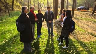 Forest Restoration to Help Beijing´s Water Crisis