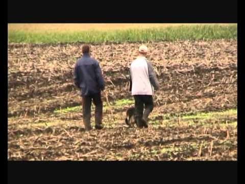 Helmut Huber mit Hank vom Weinbergblick LGA 2010 A Fährte