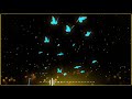 Black Screen Butterfly Colour Light Effects Download Kine Master Background Video Editing