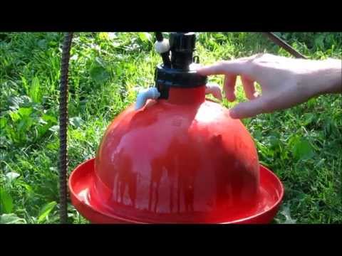 How a plasson broiler drinker works