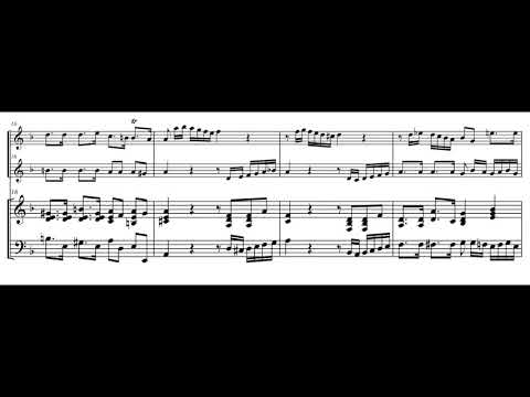 G.F. Händel - Concerto d moll, opus 6,10 (4.Satz)