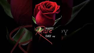 Happy rose day status vedio #rose #roseday #shorts #rosedaymusic