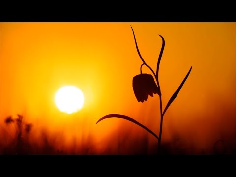 Mlade oči - Zasedba Kranjci