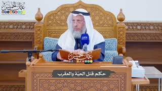 721 - حكم قتل الحيّة والعقرب - عثمان الخميس