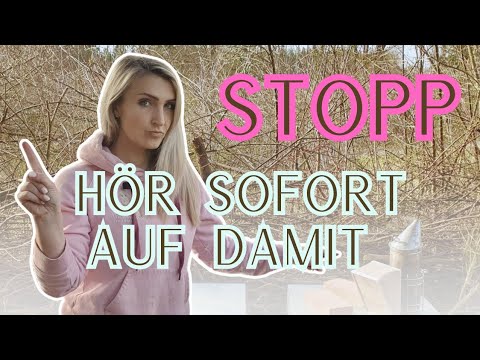 🚨 Der Imker-Fehler, den JEDER macht! 🐝 So vermeidest du Räuberei & Quetschungen!