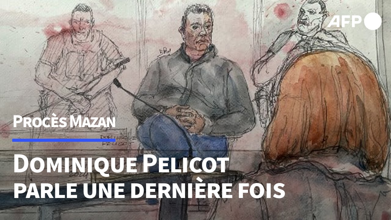 Procès des viols de Mazan: Gisèle "n’était pas une femme soumise", selon Dominique Pelicot | AFP